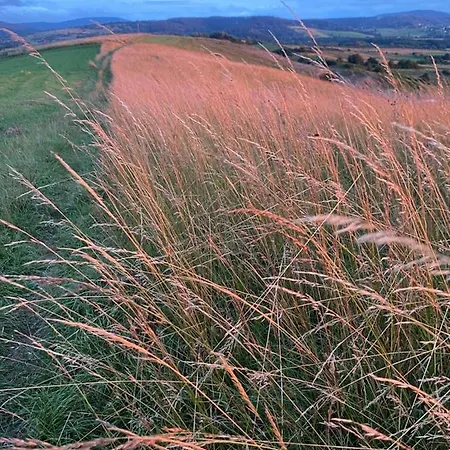 Siedlisko Pod Lipami Lipinki (Gorlice)